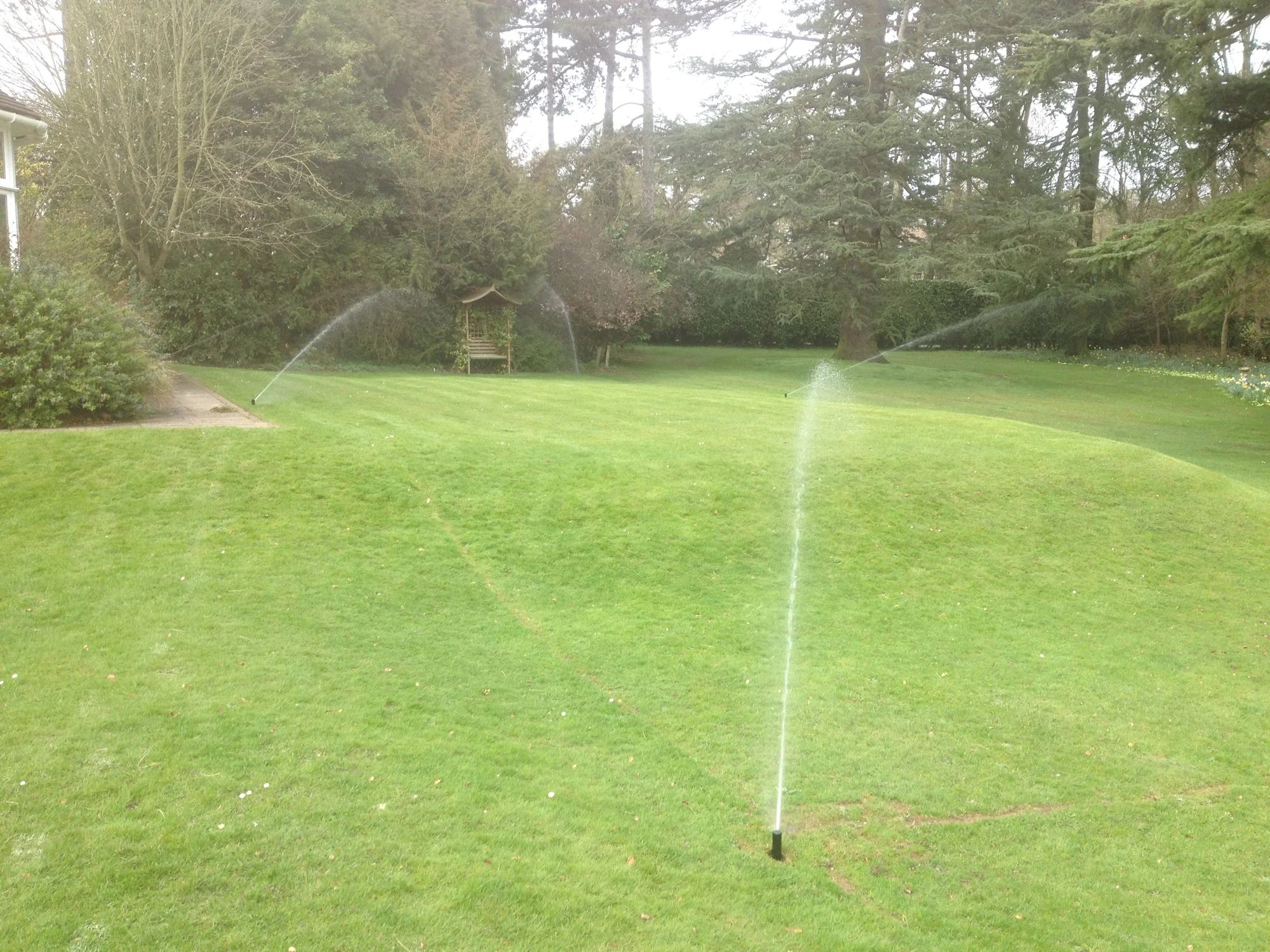 Sprinklers watering a landscaped lawn